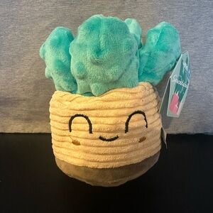 NWT Bark Box Squeakulent Dog Toy Succulent Plush Squeaker Size M Medium Crinkle
